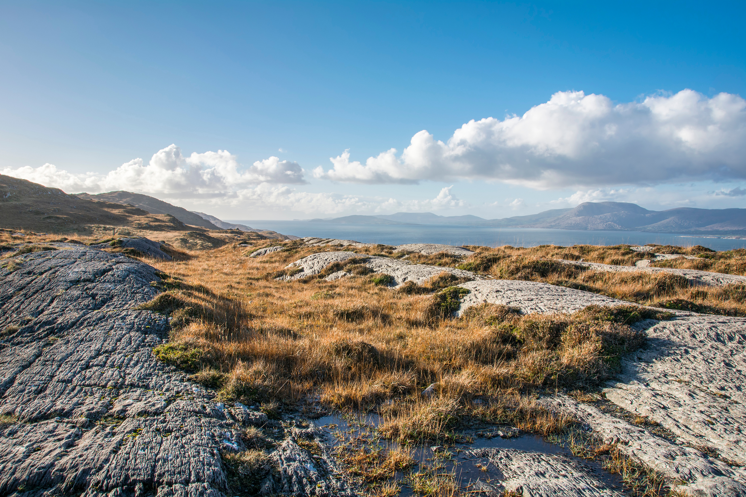 bantry bay (3).webp